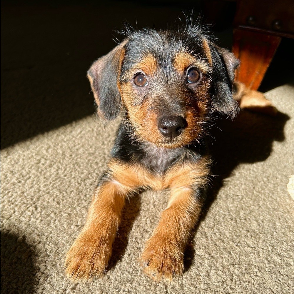 Welcome - Picture 5 of 5